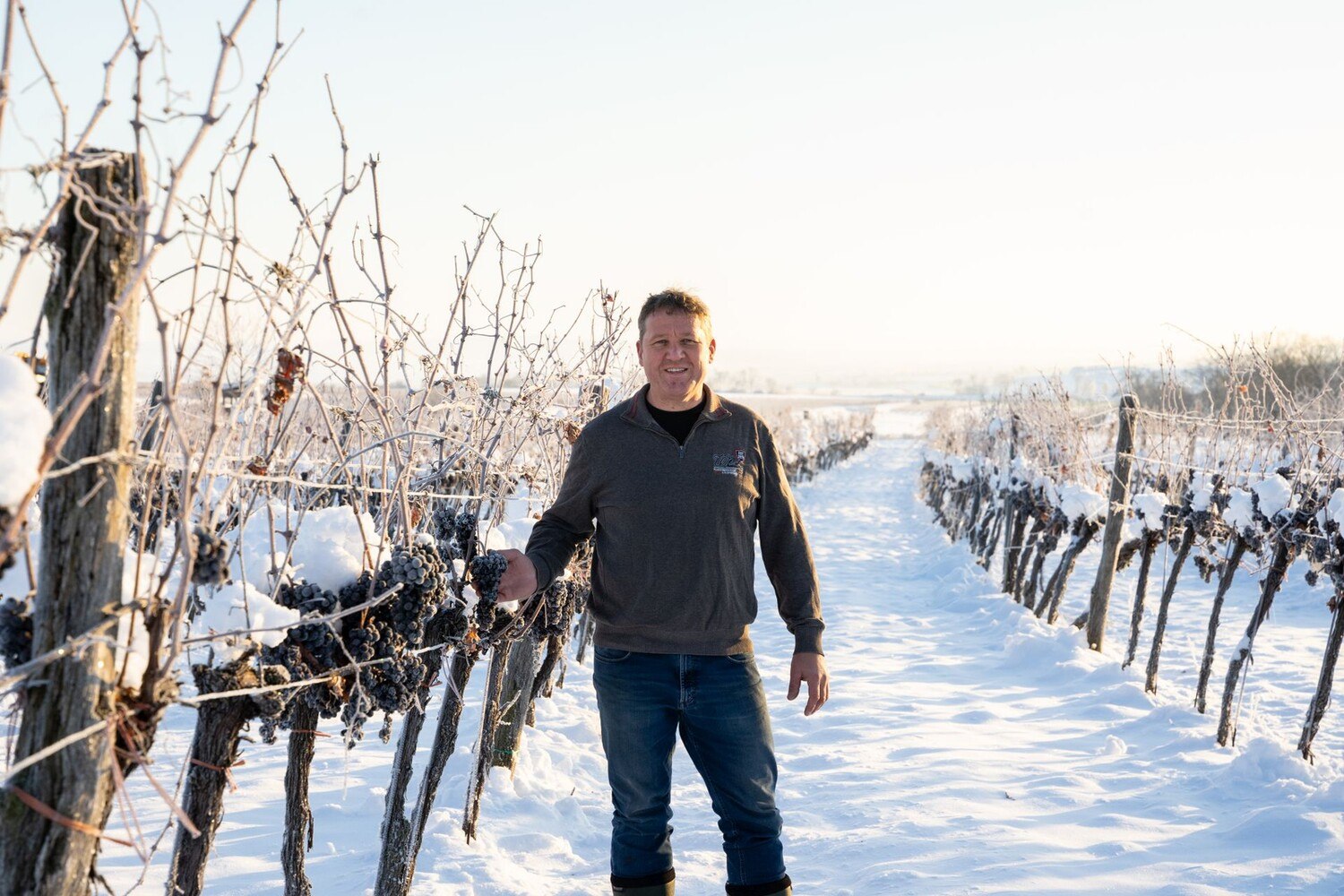 Im frostigen Weiß des Kremstals, umgeben von einem Meer aus Schnee: Winzer und Eiswein-Spezialist Franz Türk. © Paul Breuss