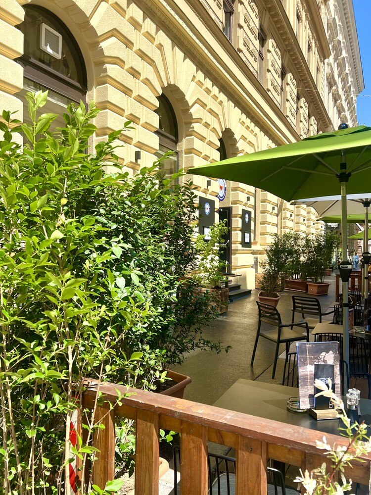 Es sind die kleinen Schritte, die zählen. Jede begrünte Fläche hilft, den Sommer in der Stadt erträglicher zu gestalten. © PAUL und ANNA