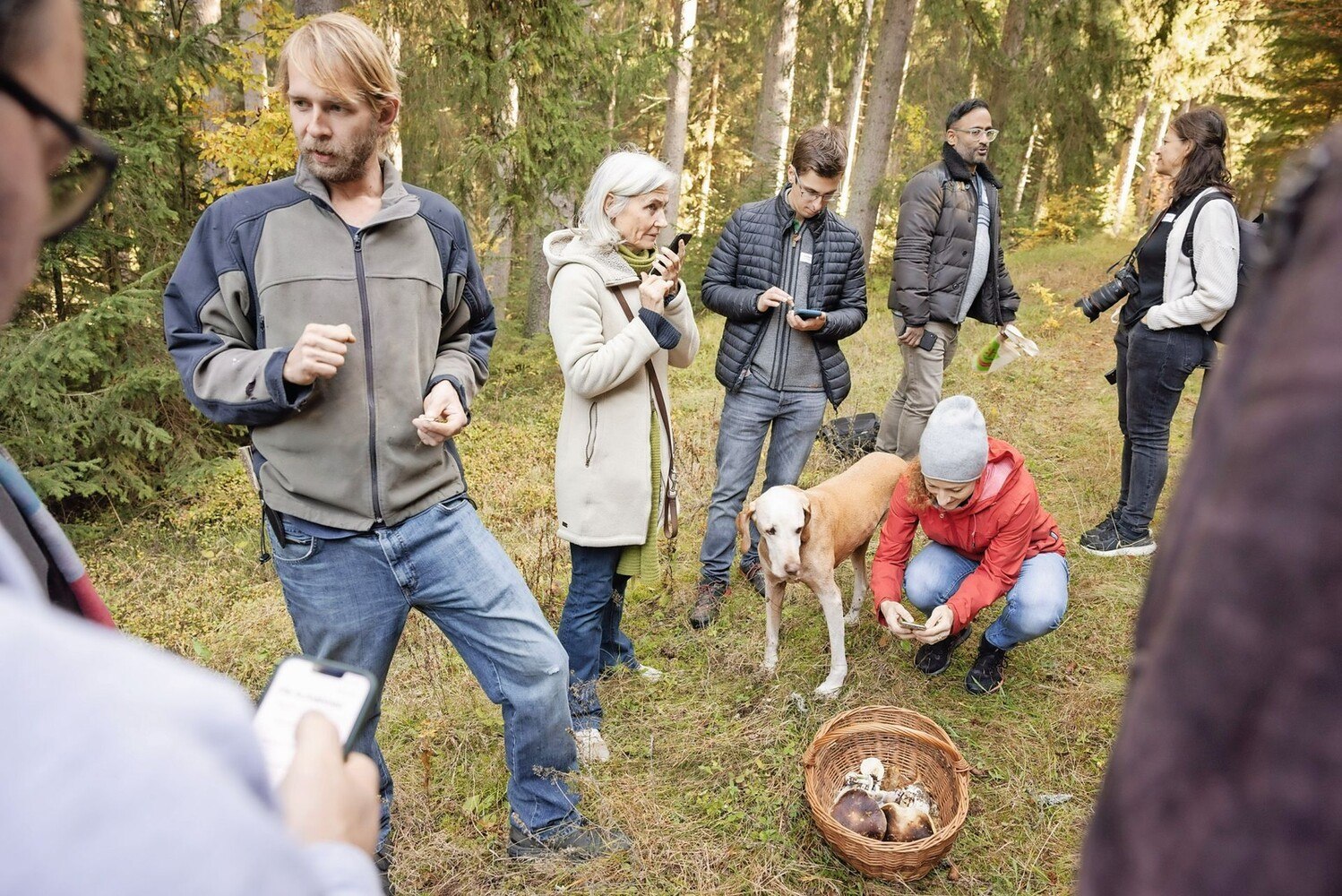 Welche Pilze sind zum Verzehr geeignet? Eine Waldbegehung mit dem Mykologen Florian Kogseder.  © Anna Stöcher