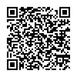 QR-Code zur Expertise