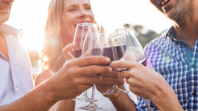 Gruppe reifer Freunde, die während des Sonnenuntergangs im Freien mit Gläsern Rotwein anstoßen. Nahaufnahmen von älteren Männern und Frauen, die mit Wein anstoßen.