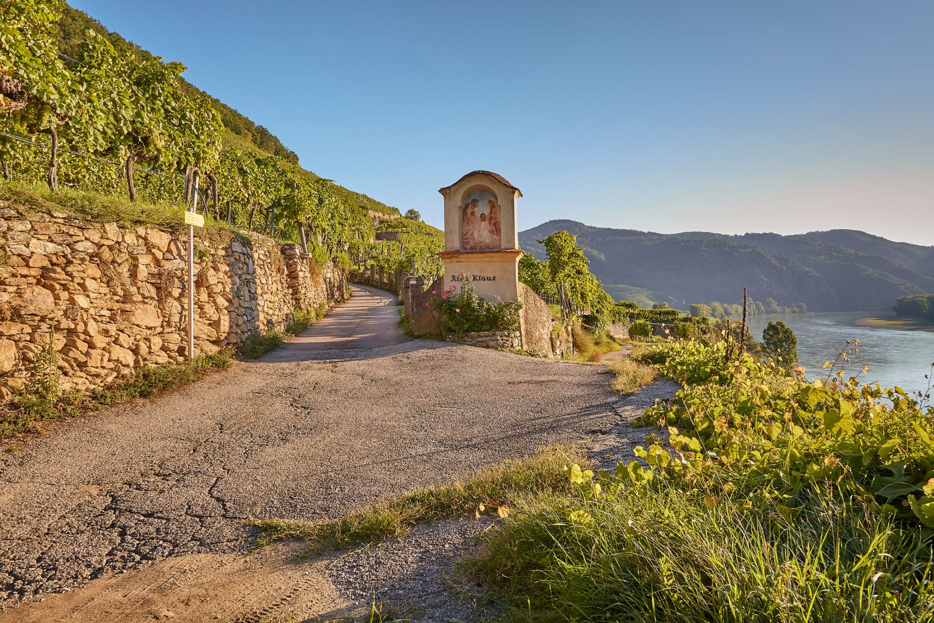 Kreuzung mit Aussicht – und großartigem Wein: Ried Klaus bei Weißenkirchen. (c) iStock / Getty Images Plus / Birgit Steinberger